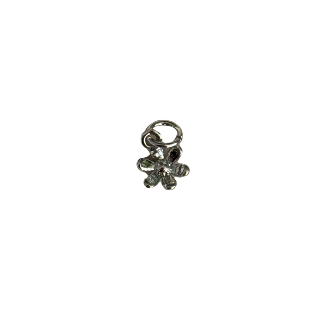 Silver Daisy