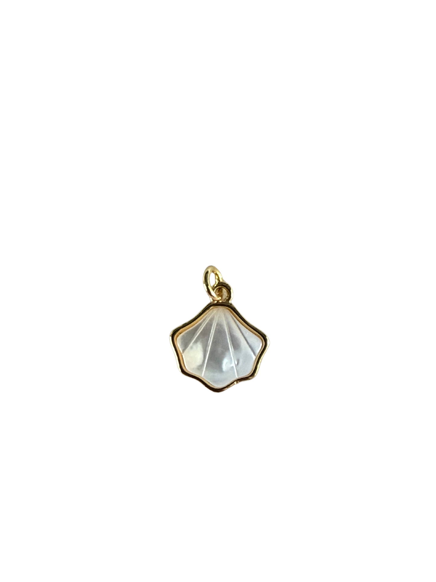 Pearl Scallop Shell