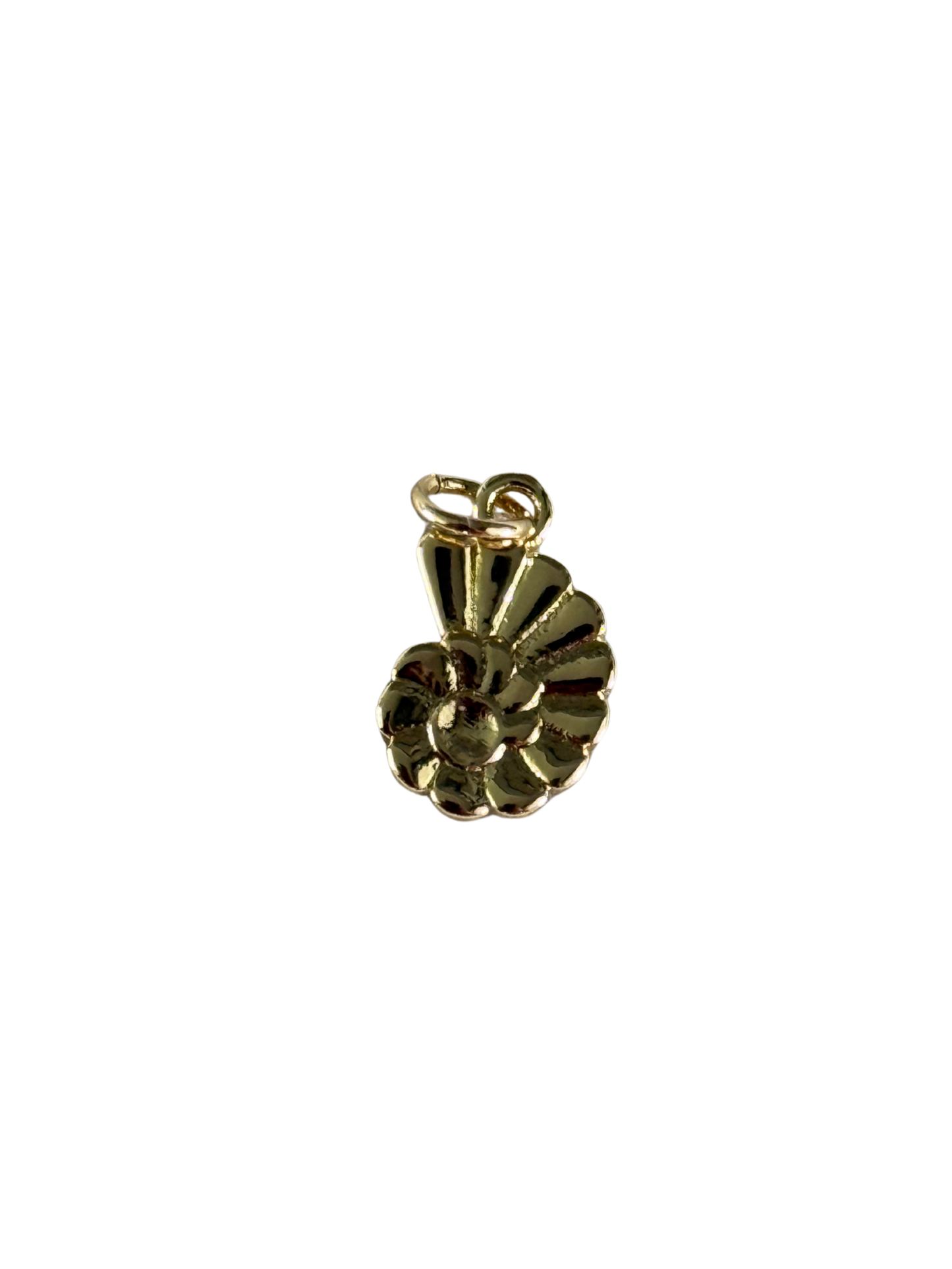 Gold Sea Shell