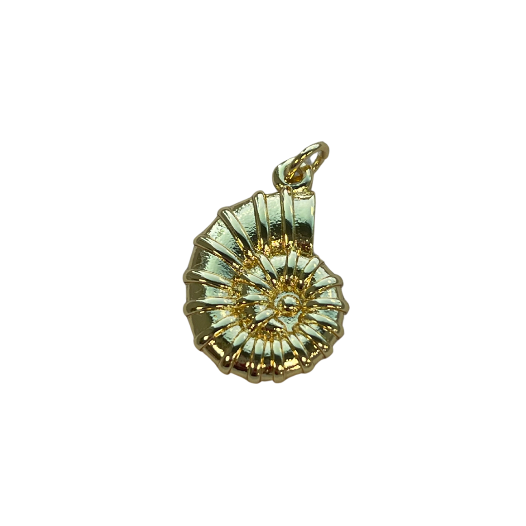 Gold Conch