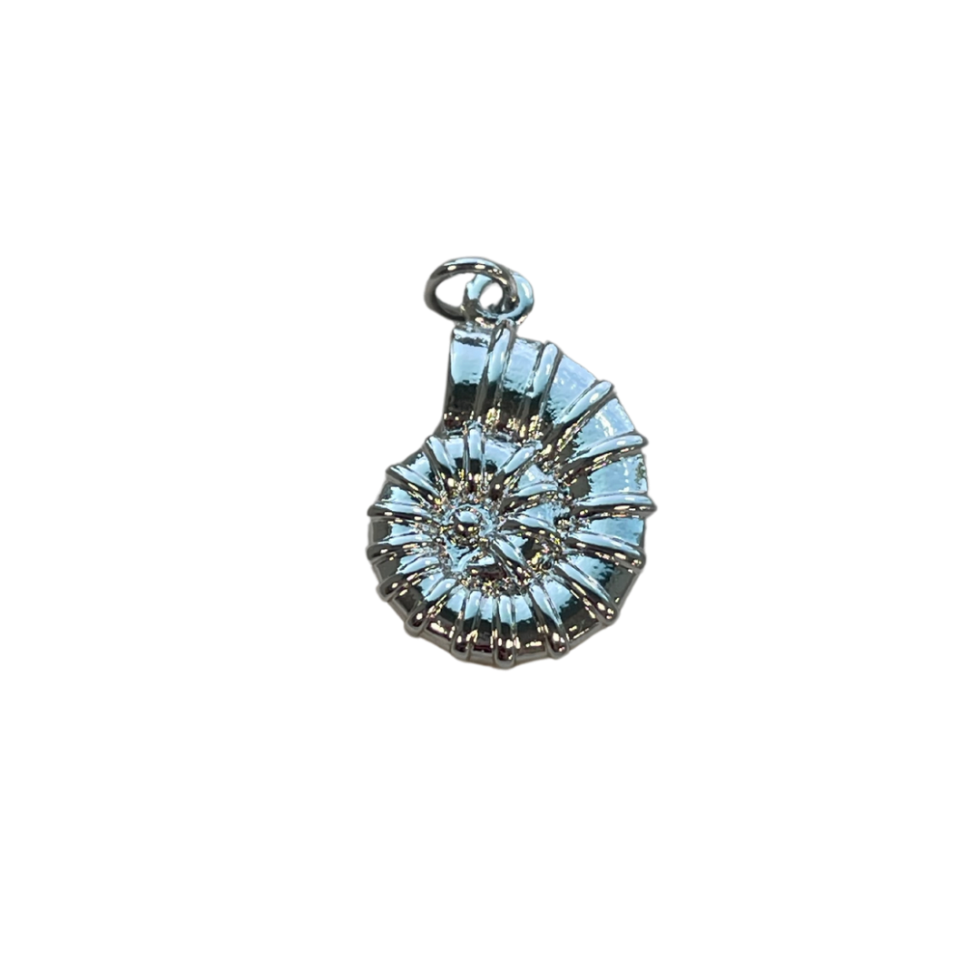 Silver Conch