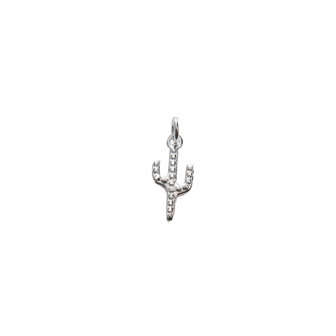 Silver Cactus