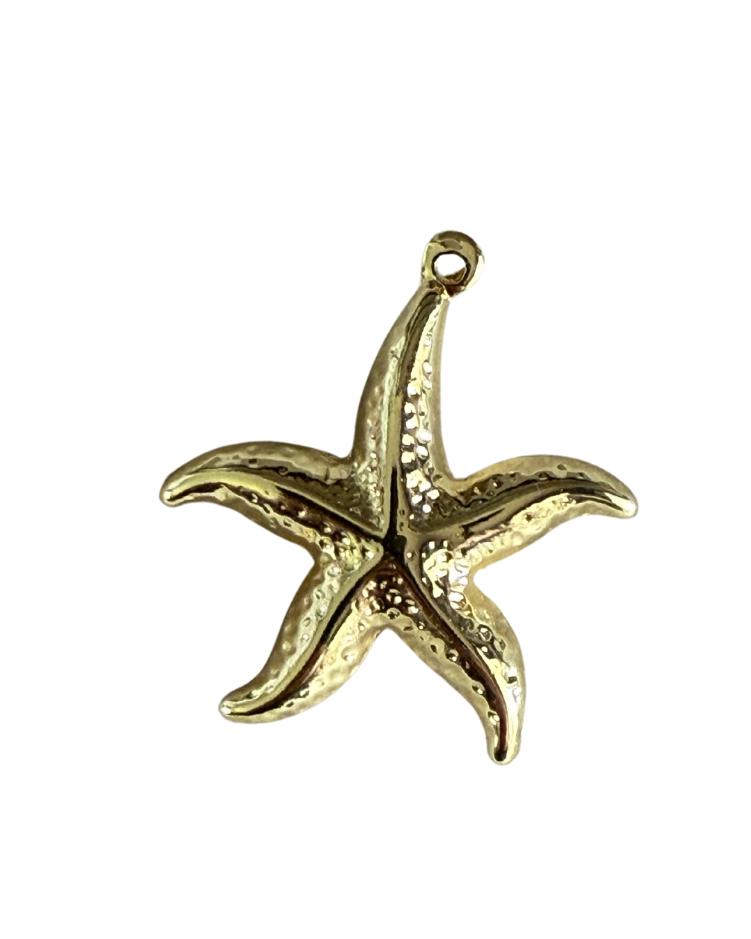 Large Starfish