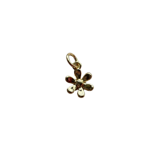 Gold Daisy