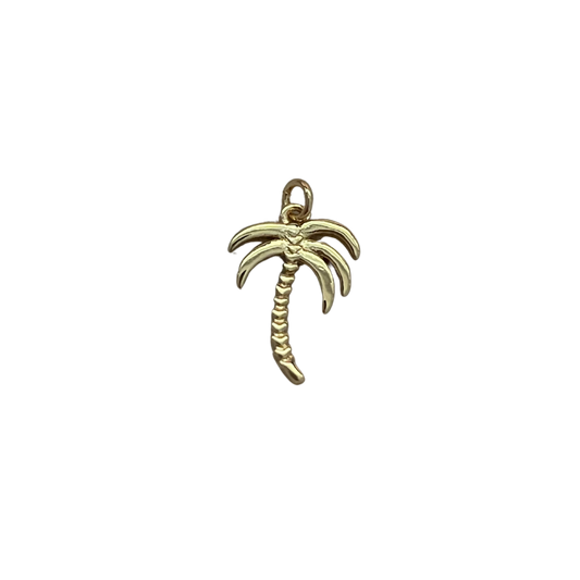 Palm Tree