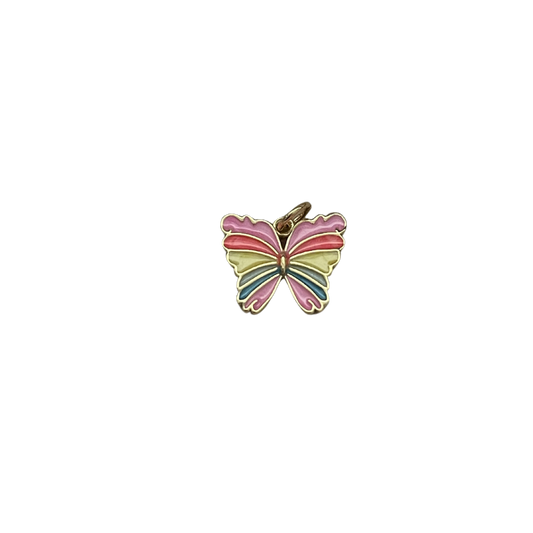 Colorful Butterfly