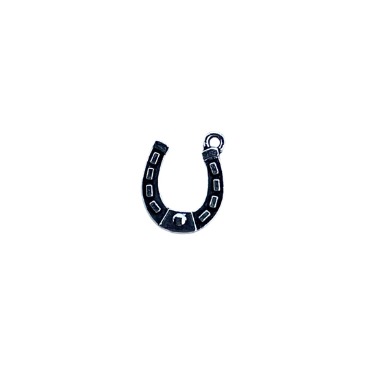 Silver Horseshoe
