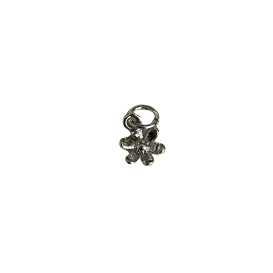 Silver Daisy