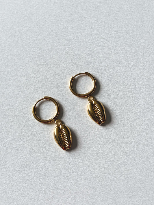 Shell earrings
