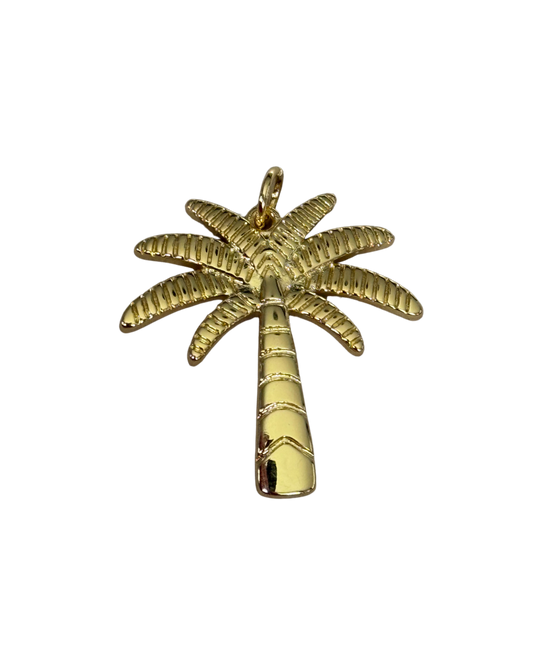 Large Palm Tree