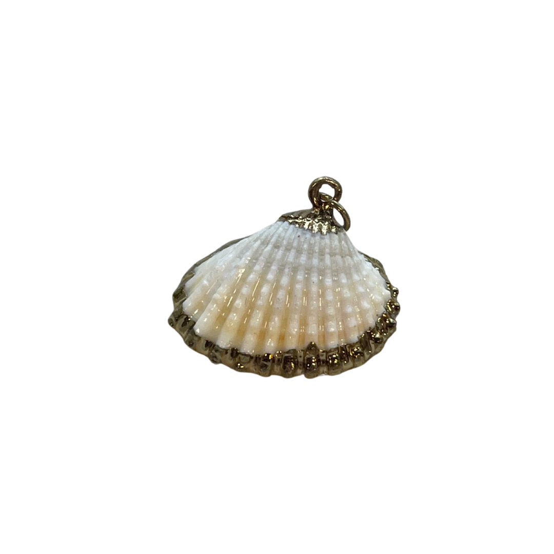 Vintage Gold Shell