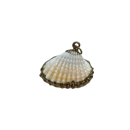 Vintage Gold Shell