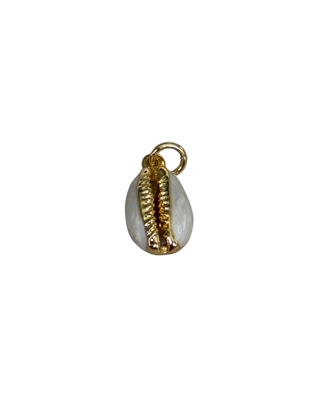 Gold and White Shell