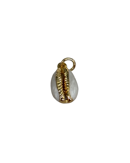 Gold and White Shell