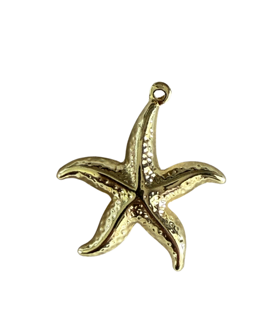 Large Starfish